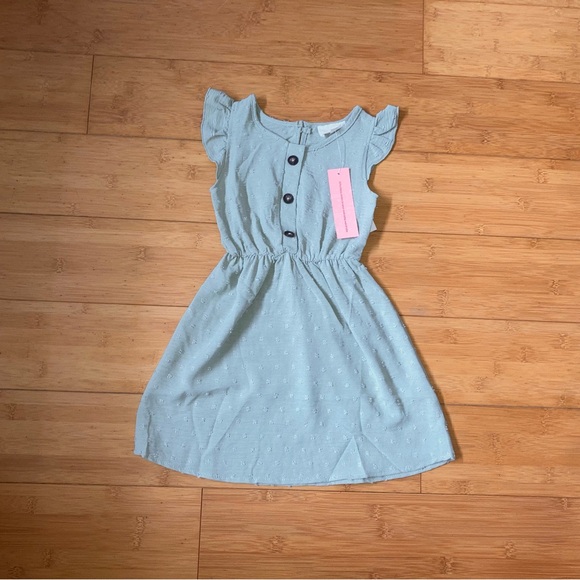 NWT Girls Size 4 Sage Green Dress - Picture 1 of 2